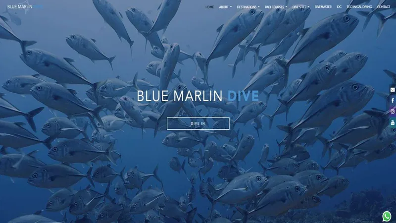 Blue Marlin Dive website screenshot