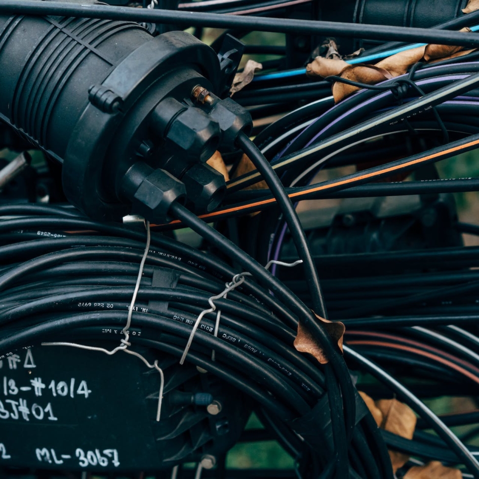 pexels-markus-winkler-11392632