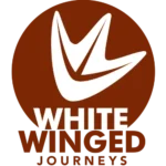 WWJ-CMYK-logo-2